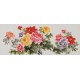 Peony - CNAG004061