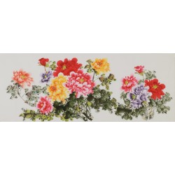 Peony - CNAG004061