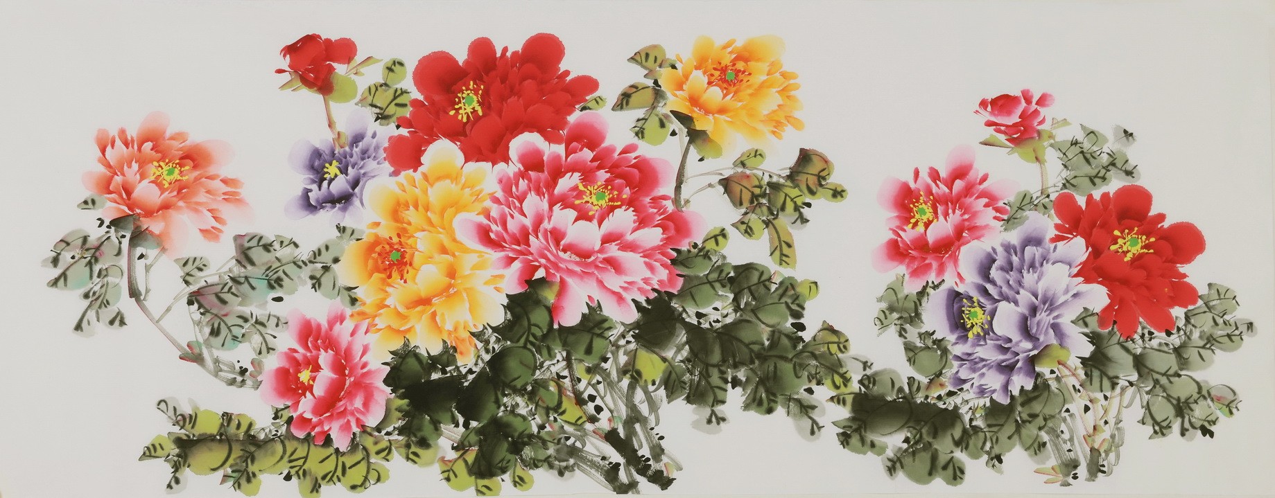 Peony - CNAG004061