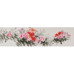Peony - CNAG004062