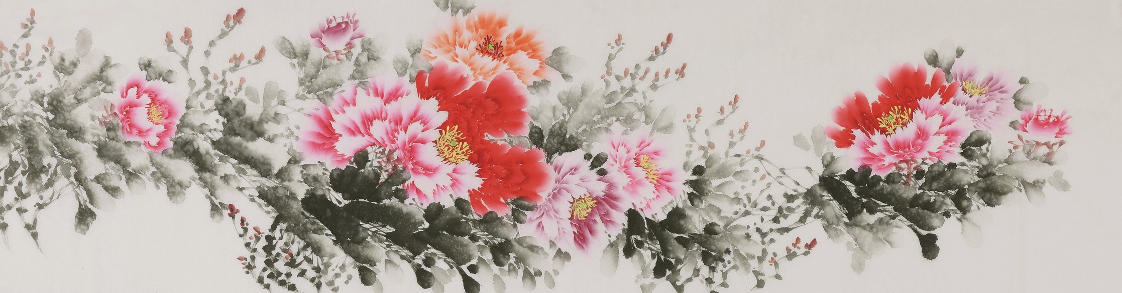 Peony - CNAG004062
