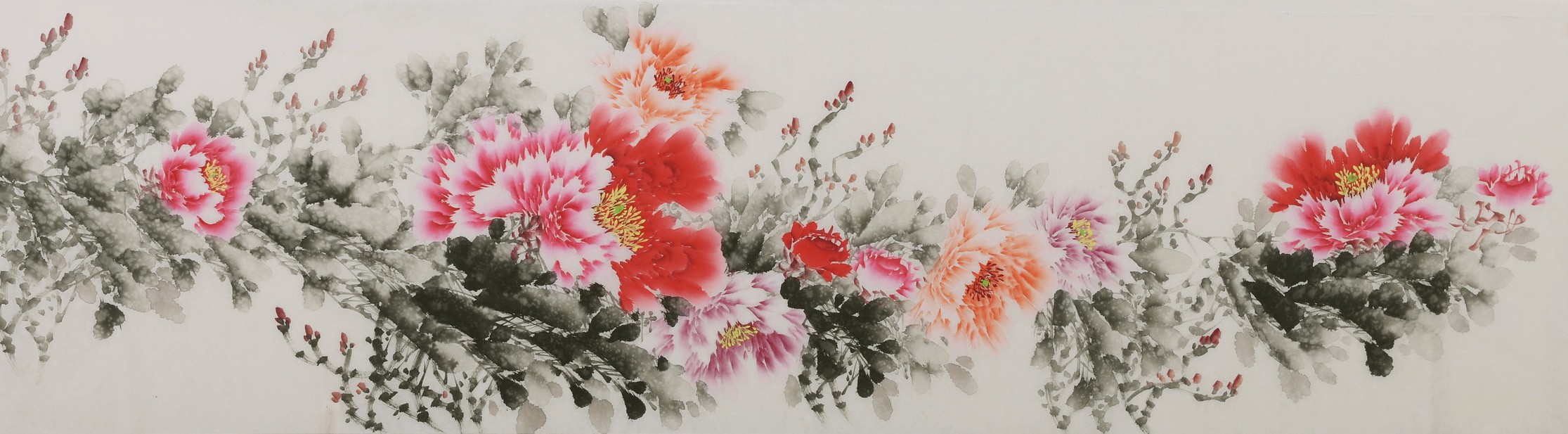 Peony - CNAG004063