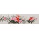 Peony - CNAG004064