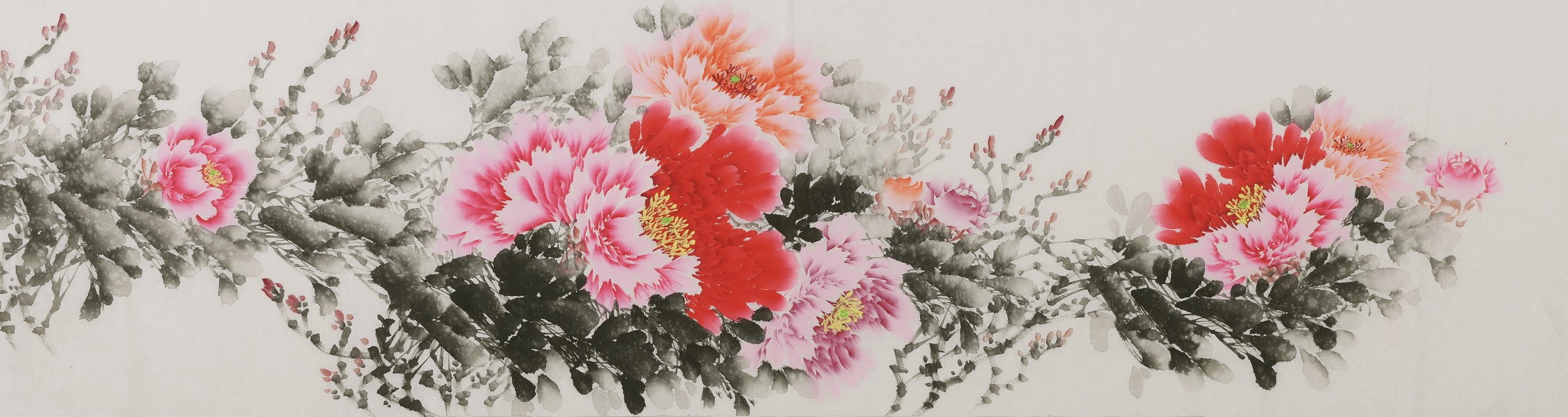 Peony - CNAG004064
