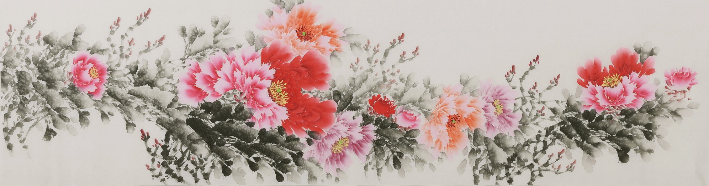 Peony - CNAG004065
