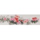 Peony - CNAG004066