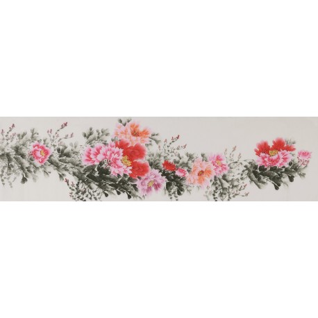 Peony - CNAG004066