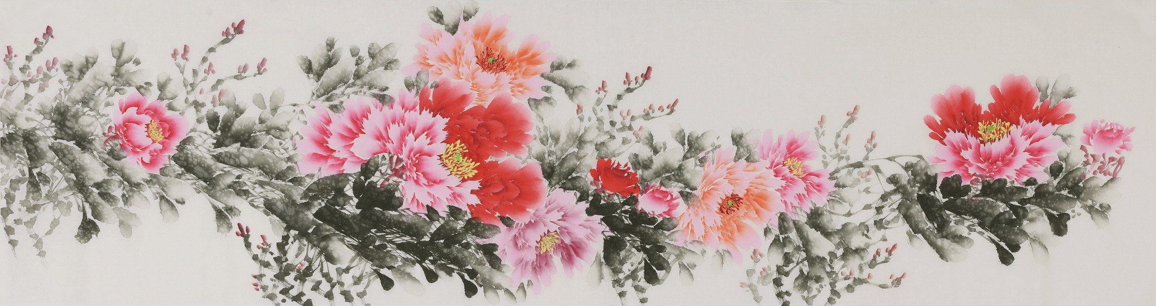 Peony - CNAG004066
