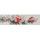 Peony - CNAG004068