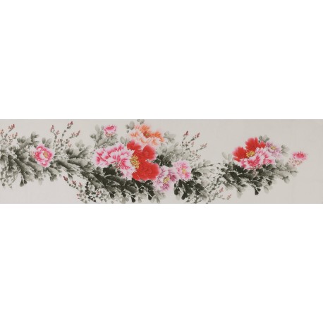 Peony - CNAG004068