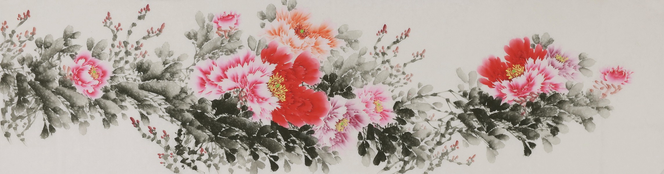 Peony - CNAG004068