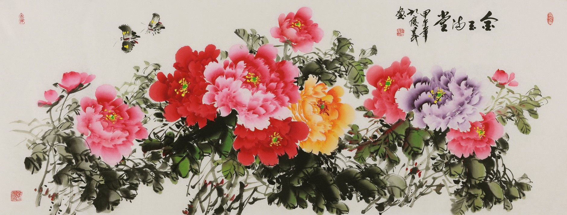 Peony - CNAG004069