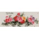 Peony - CNAG004070