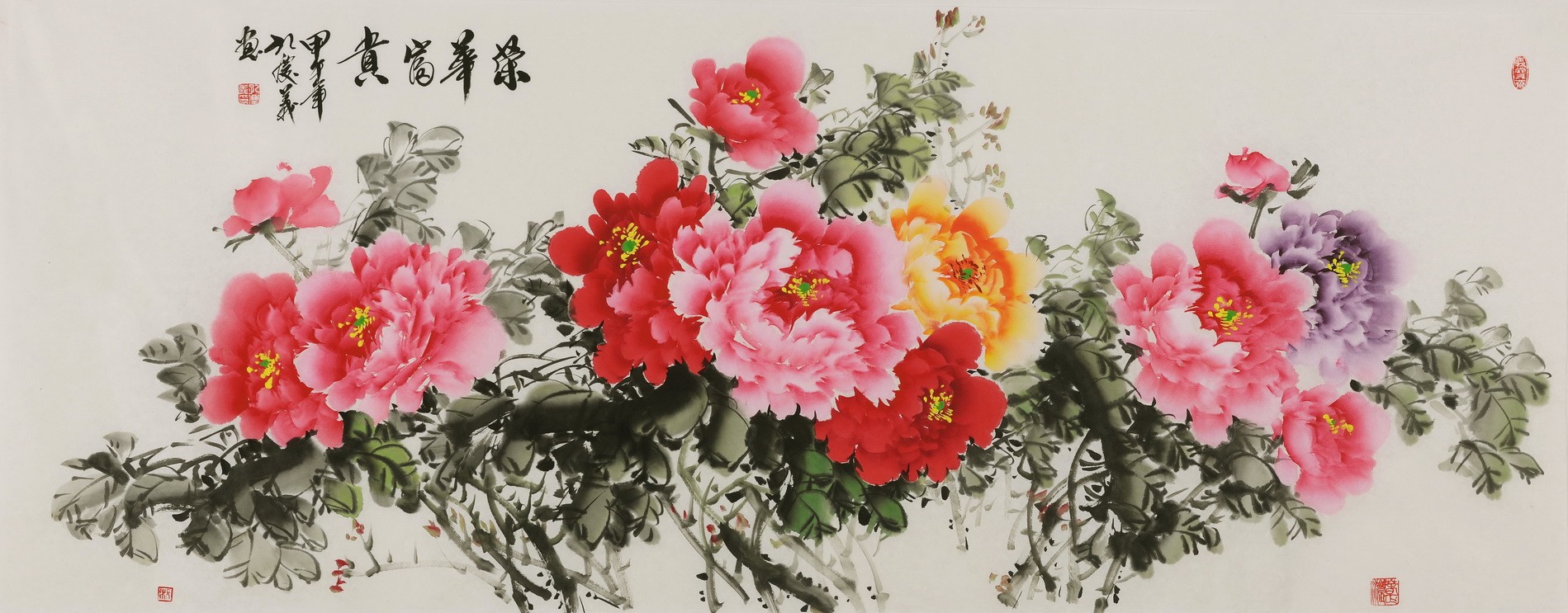 Peony - CNAG004070