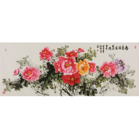 Peony - CNAG004071