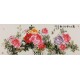 Peony - CNAG004072