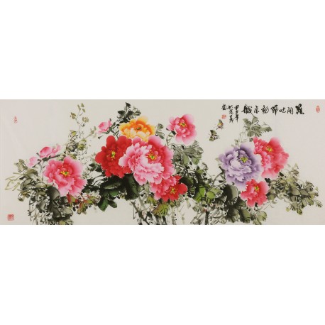 Peony - CNAG004072