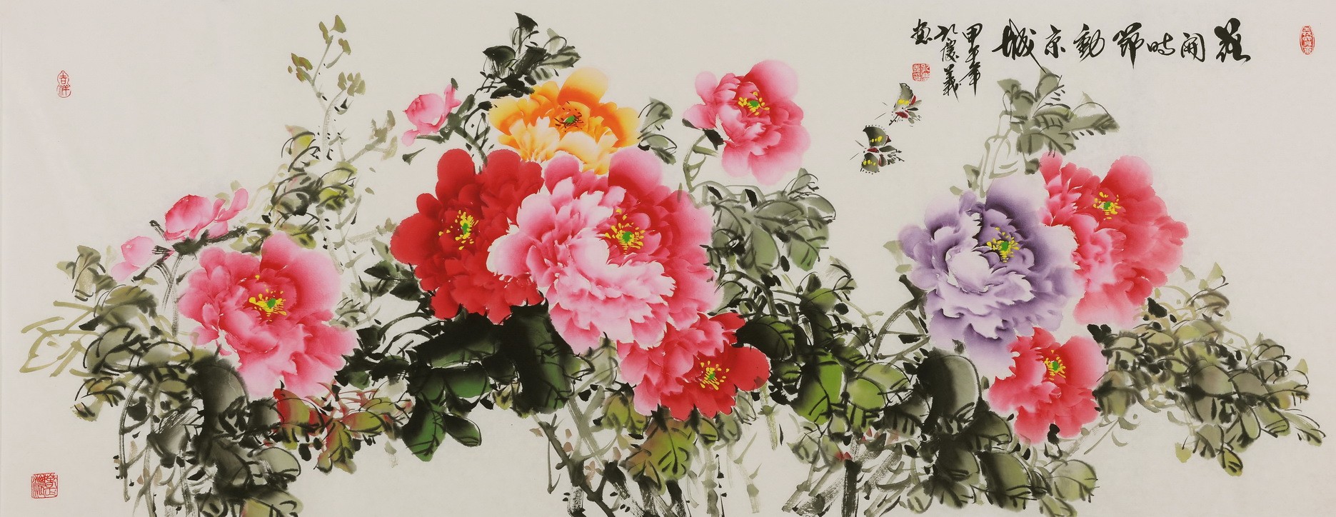 Peony - CNAG004072