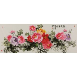 Peony - CNAG004073