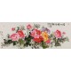 Peony - CNAG004074