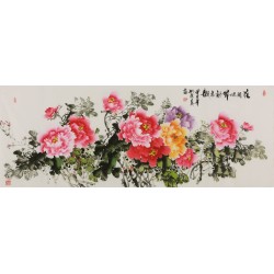 Peony - CNAG004074