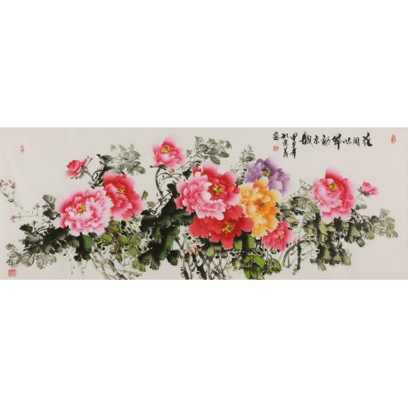 Peony - CNAG004074