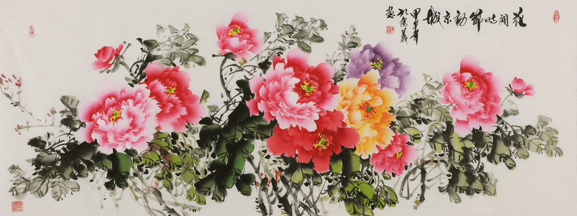 Peony - CNAG004074