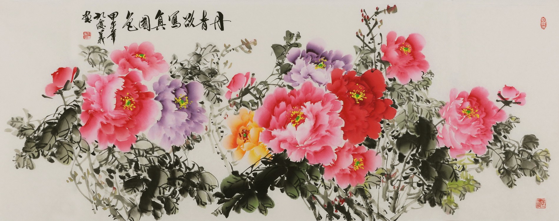 Peony - CNAG004076