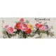 Peony - CNAG004077