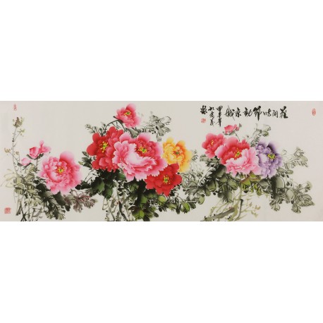 Peony - CNAG004077