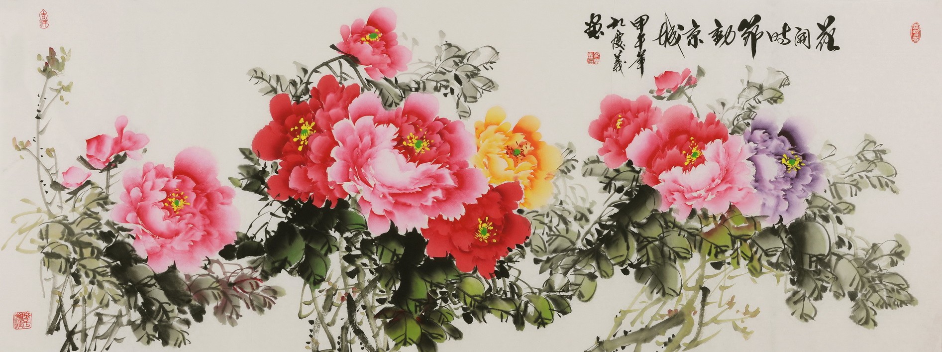Peony - CNAG004077