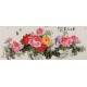 Peony - CNAG004078
