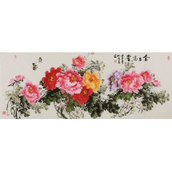 Peony - CNAG004078