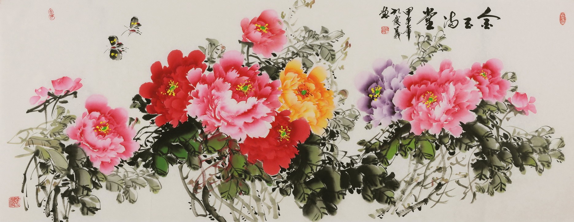 Peony - CNAG004078