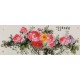 Peony - CNAG004080