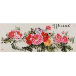 Peony - CNAG004081