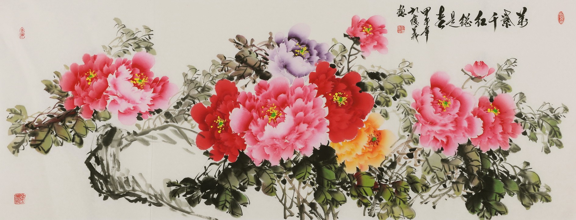 Peony - CNAG004081