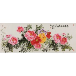 Peony - CNAG004082