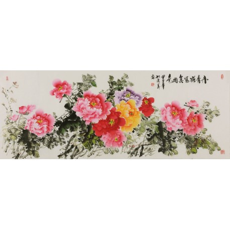 Peony - CNAG004082