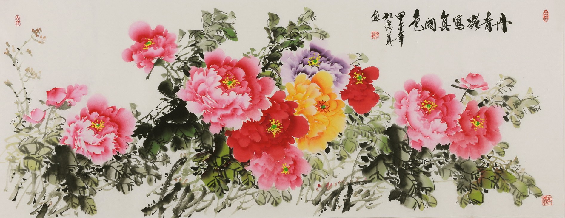 Peony - CNAG004082