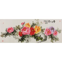 Peony - CNAG004083