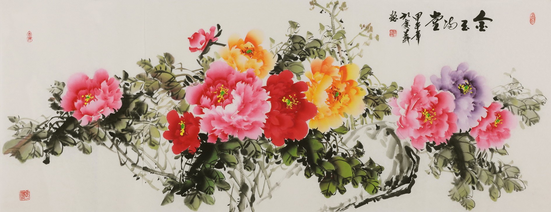 Peony - CNAG004083