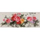 Peony - CNAG004086