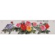 Peony - CNAG004088