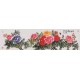 Peony - CNAG004091