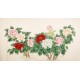 Peony - CNAG004092