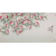 Peach Blossom - CNAG004093