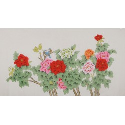 Peony - CNAG004096