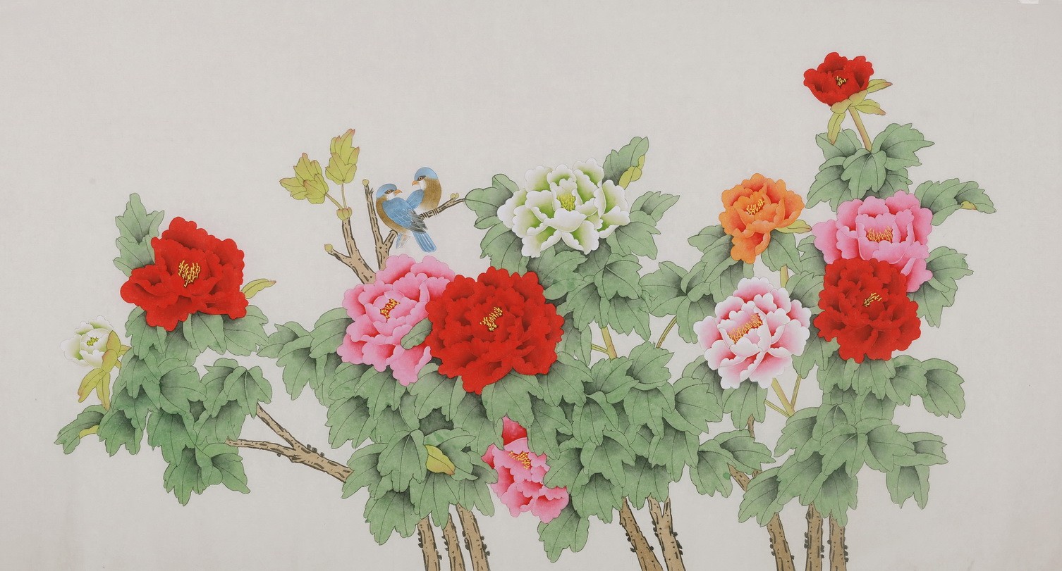 Peony - CNAG004096