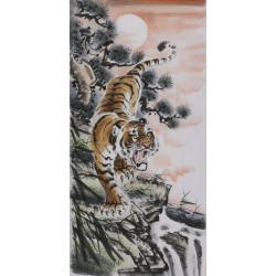 Tiger - CNAG000041